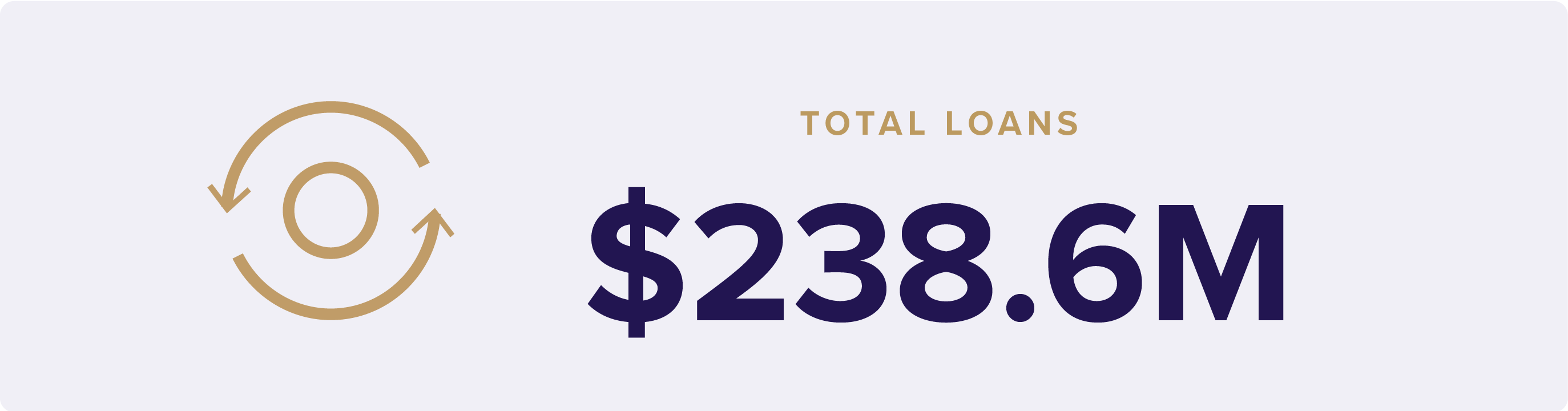 TMF Impact Report Icons with stats factoids 5 Loans