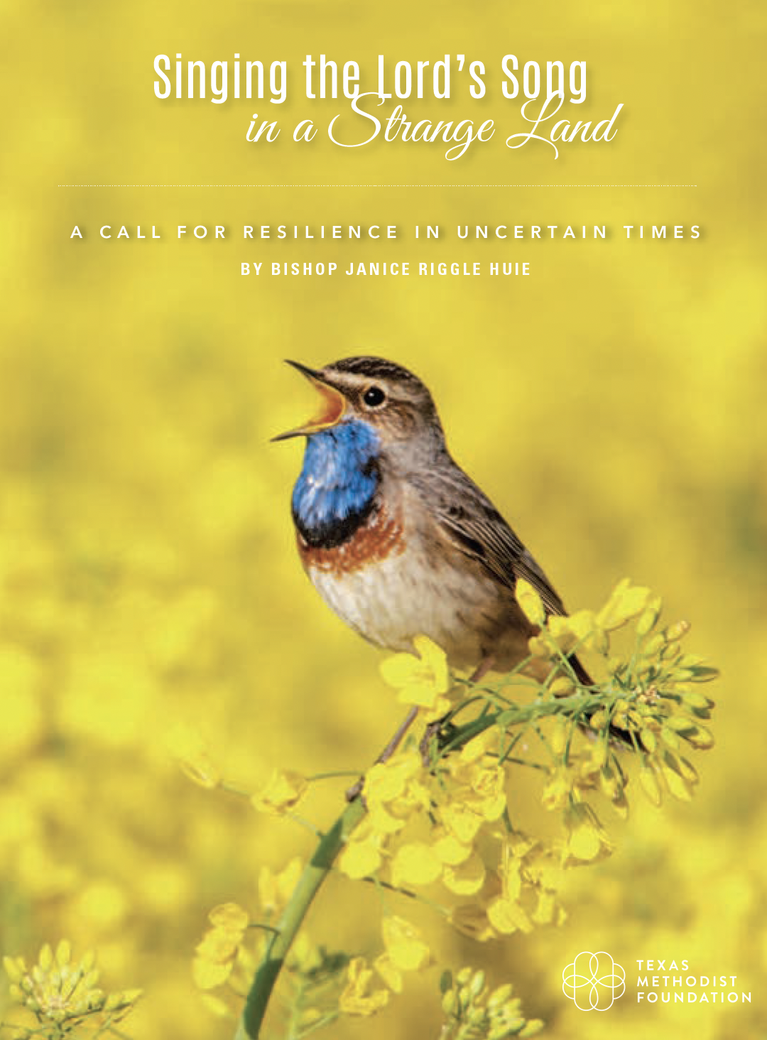 Singing the Lord's Song in a Strange Land
