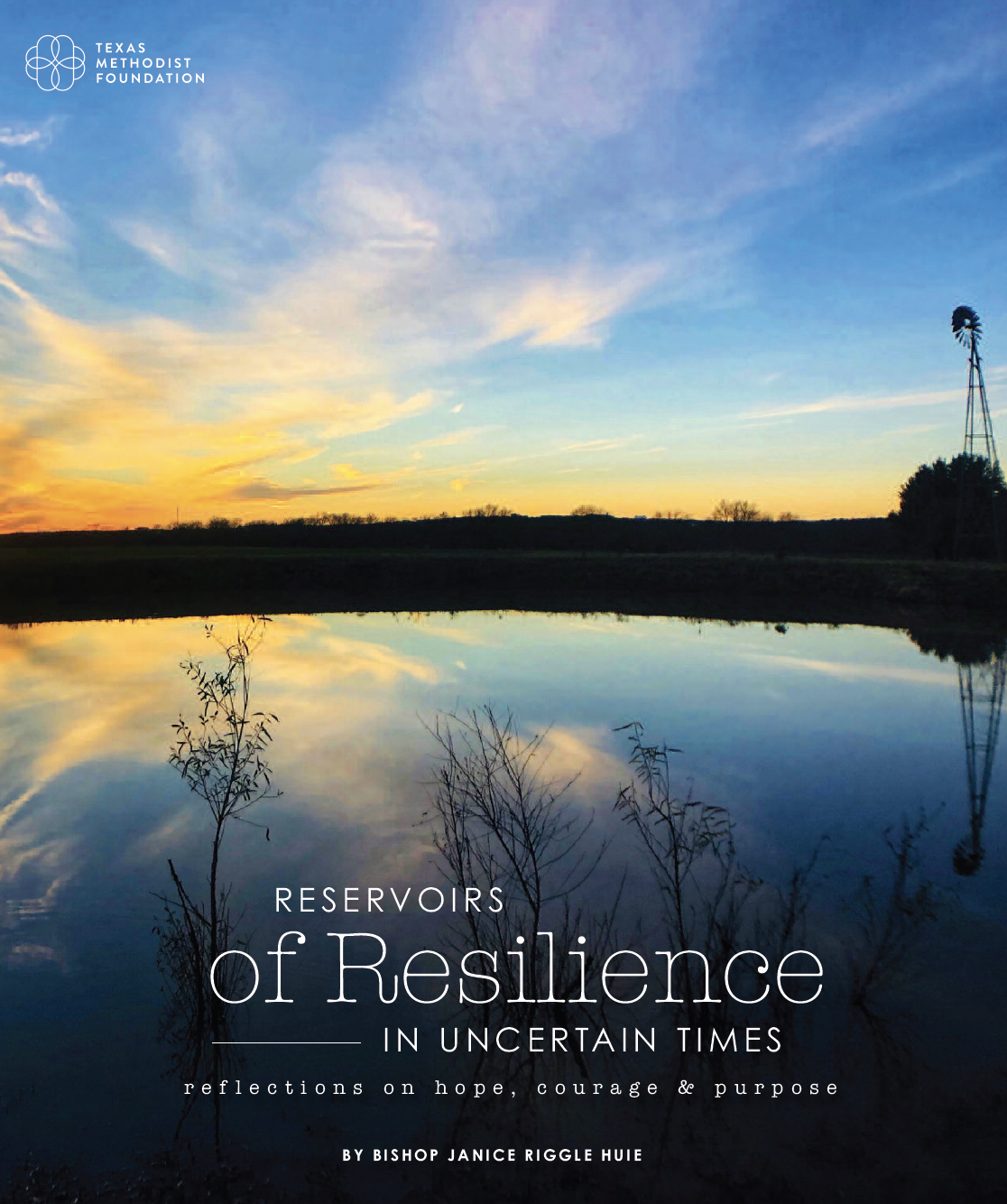 Reservoirs of Resilience in Uncertain Times