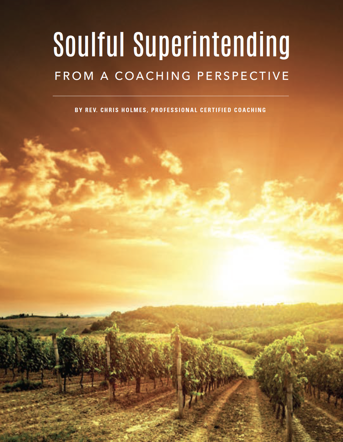 Soulful Superintending from a Coaching Perspective